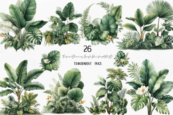 Tropical Greenery Jungle Rainforest PNG: A Designer's Guide